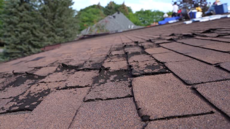 Best Commercial Roofing Services  in Chepachet, RI